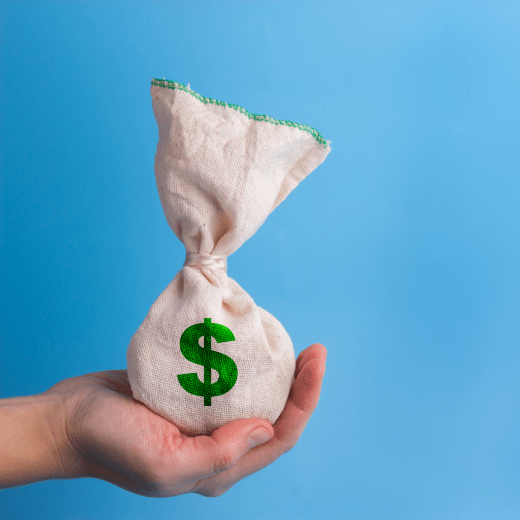 Covid-19 Disaster payment para estudiantes y Work and Holiday Visa